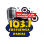Frecuencia Radial